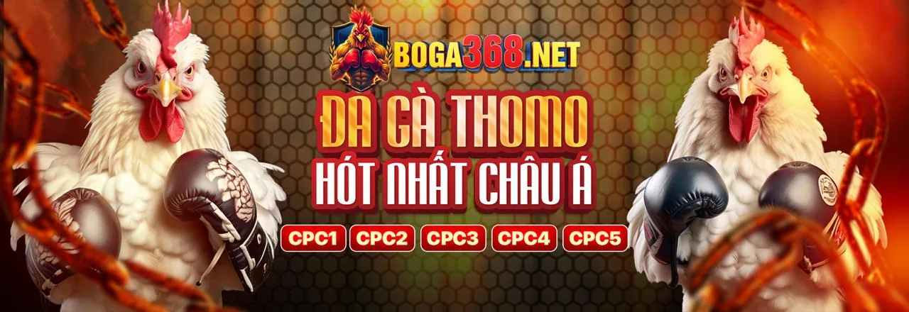 B29 Club - Nền tảng game bài đổi thưởng, nổ hũ, tài xỉu online hàng đầu Việt Nam
